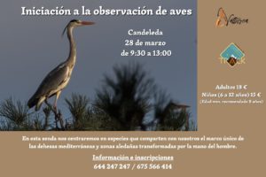 Natturea nos llena de actividades esta primavera