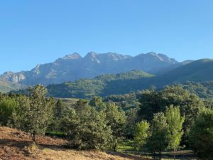 Naturaleza y Valle desde la Peña del Toro